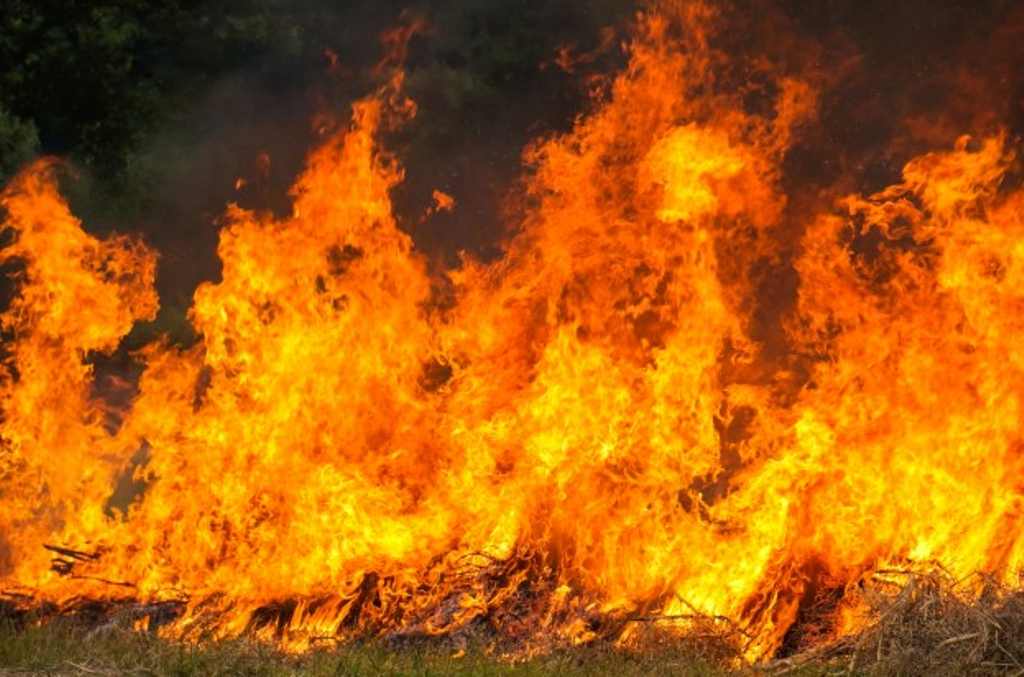 stubble burning