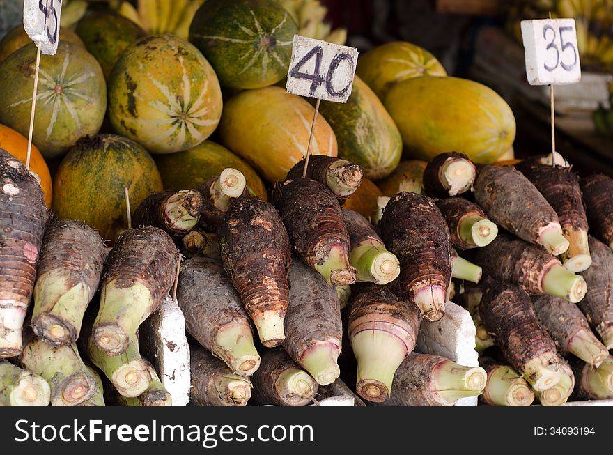 Colocasia Roots