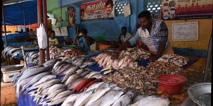 Fish Market