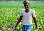 PM Kisan Yojana Latest Update: 12th Installment to be Released Before Dussehra