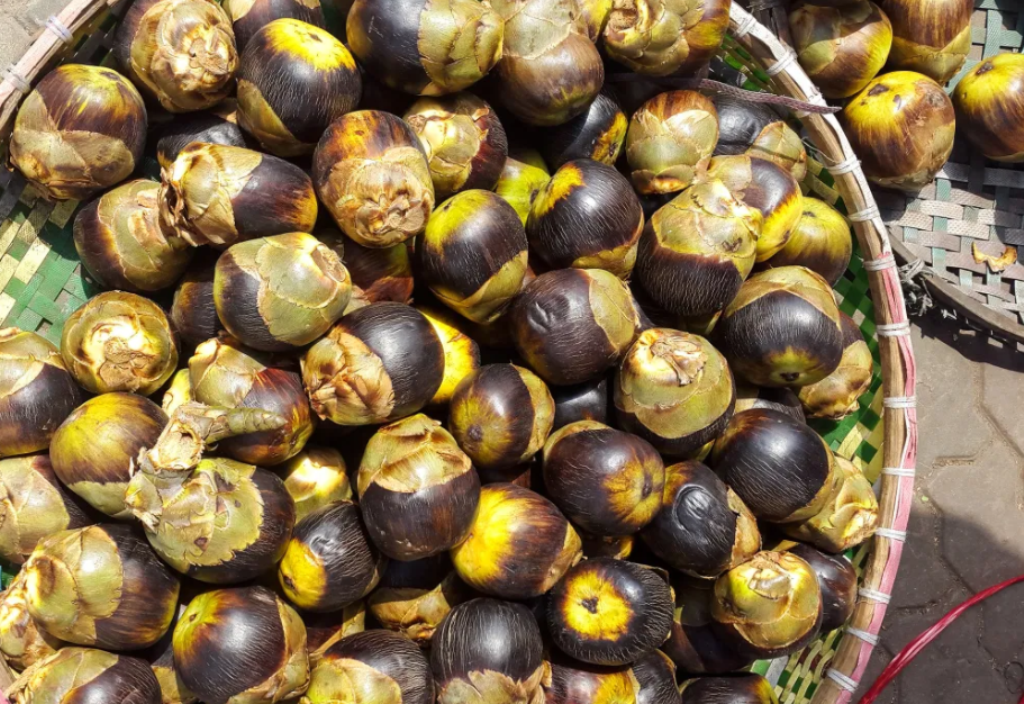 Palm fruit