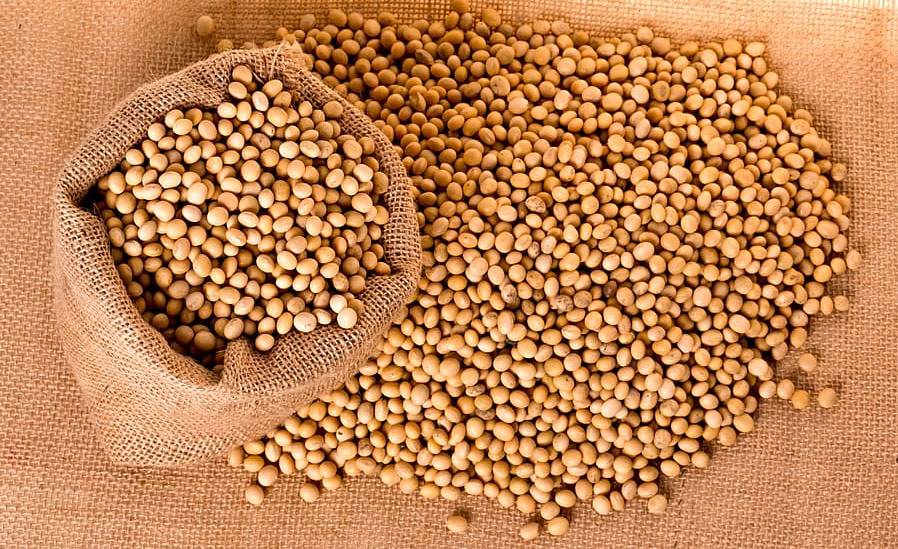 Soybean in Brazil