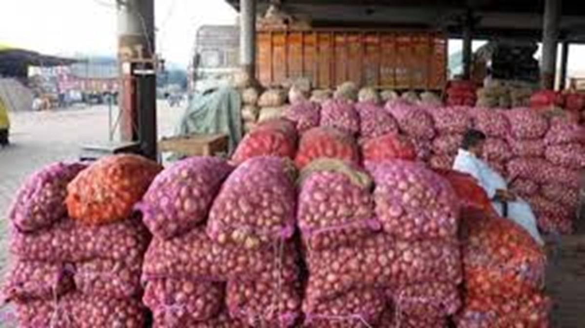 Onion price: Farmers, Traders Seek Lifting of Export Ban as Prices Decline in 5 Weeks