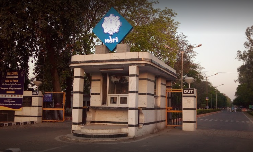 University's Entry Gate