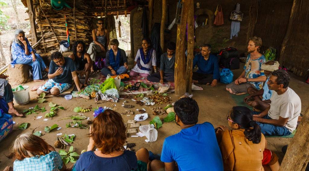 Sample collections from forest  foods foraging walk at Vanvadi