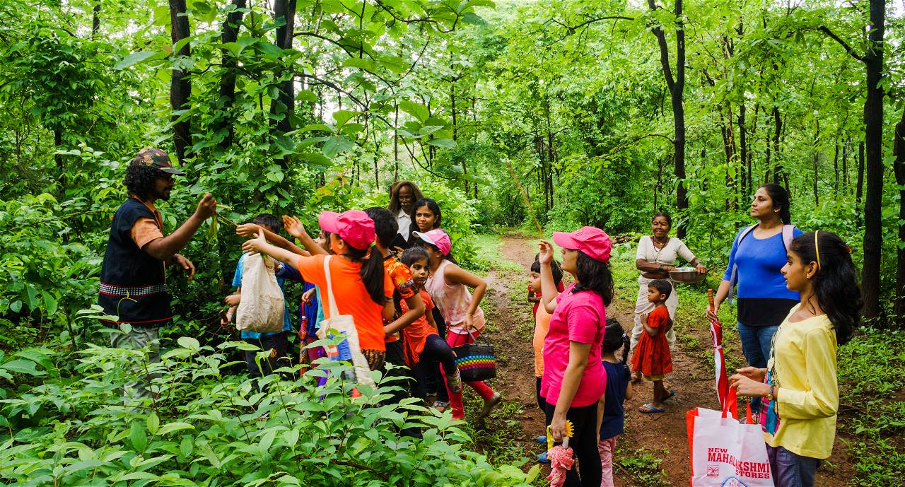 Forest foods walk with Ambibai and  Mahadu Bua, local adivasis