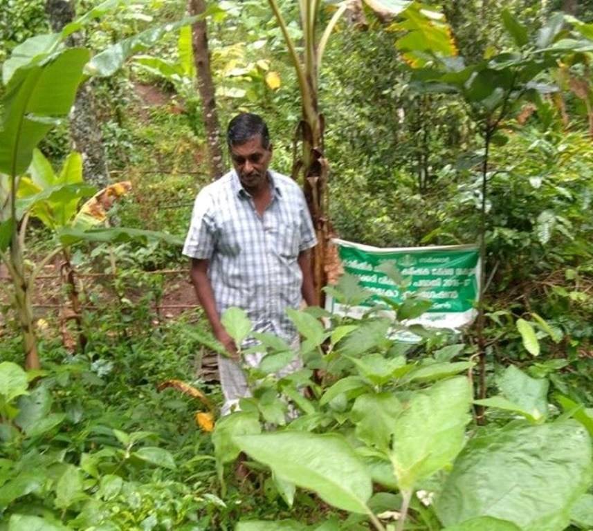 Rameshan at his farm