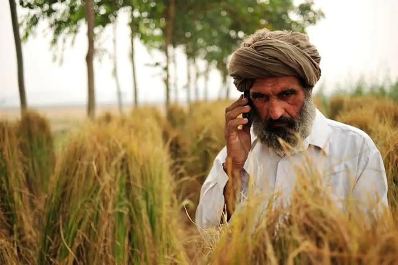 Farmer using mobile app