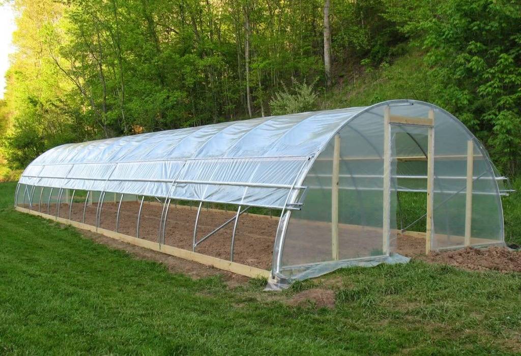 Know the difference between Polyhouse and Greenhouse farming