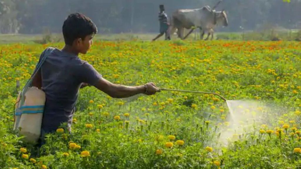 Indian Farmers