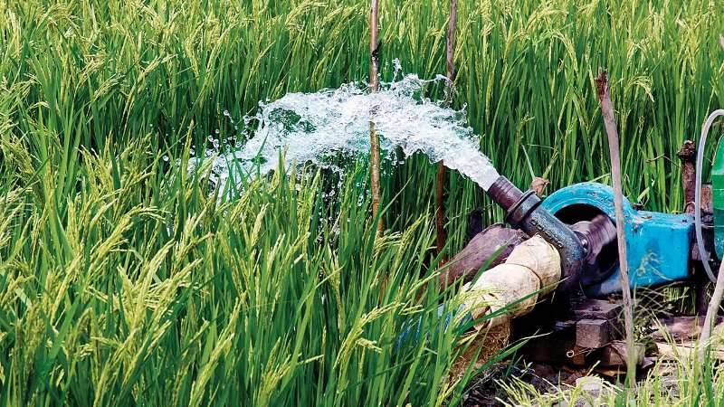 Crop Irrigation: Farmers in Bihar