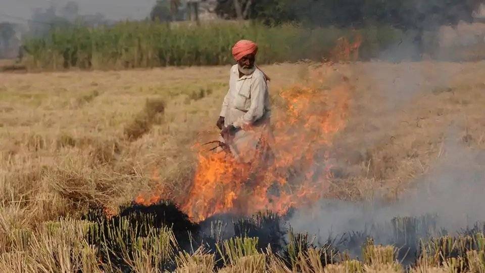 A farmer in a field of Punjab burning to sow new crop (Pic Credit: Hindustan times)
