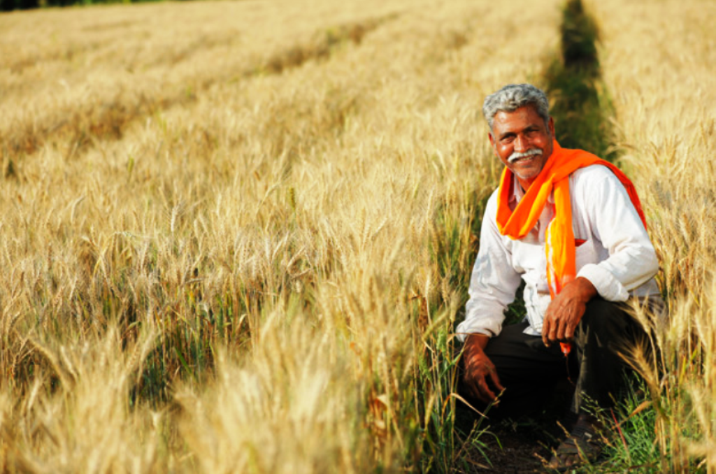 Farmer India