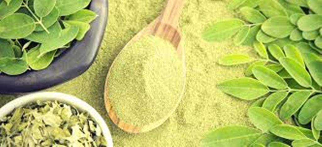 Moringa Powder