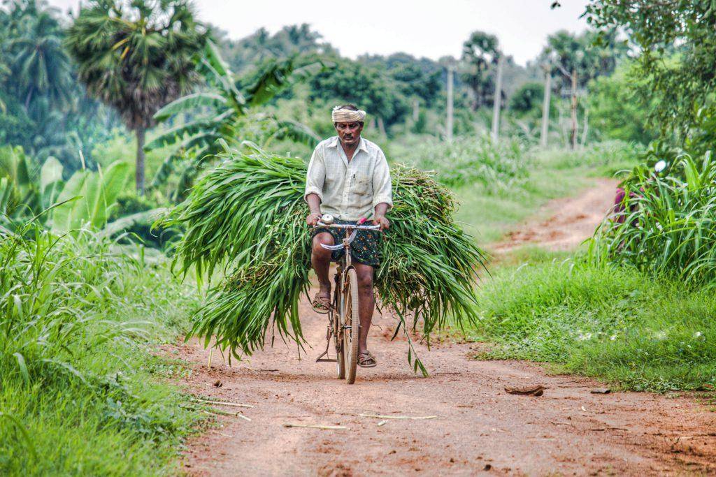 Kisan Kalyan Mission will help Farmers learn ways to double their Income