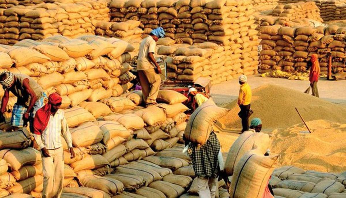 Centre procures 521.5 lakh tonnes of paddy so far at Minimum Support Price
