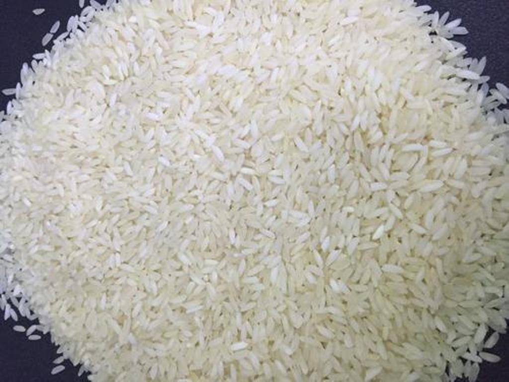 Rice