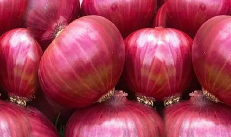 How To Use Onion Sites