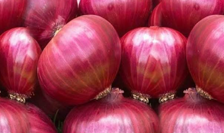 Onion varieties