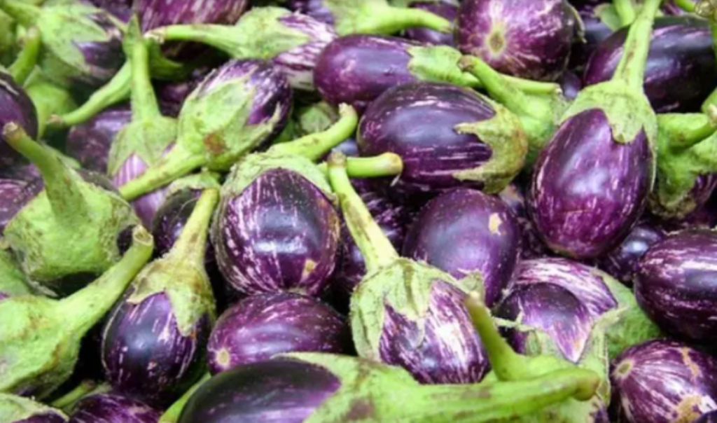 the colorful images of brinjal or eggplant Ad  Ad imagescolorful eggplantbrinjal  Mood board Royalty free stock photos Stock photos