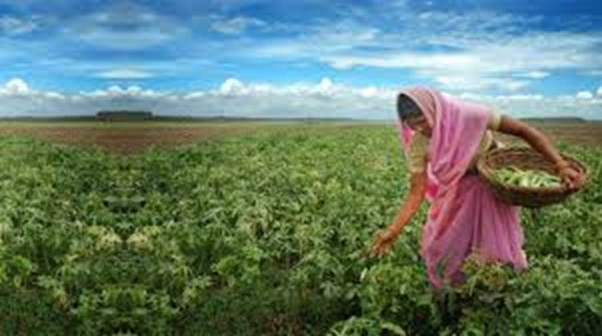 PM-Kisan Update: Rajasthan has 22.7 lakh women beneficiaries under Pradhan Mantri Kisan Samman Nidhi Yojana