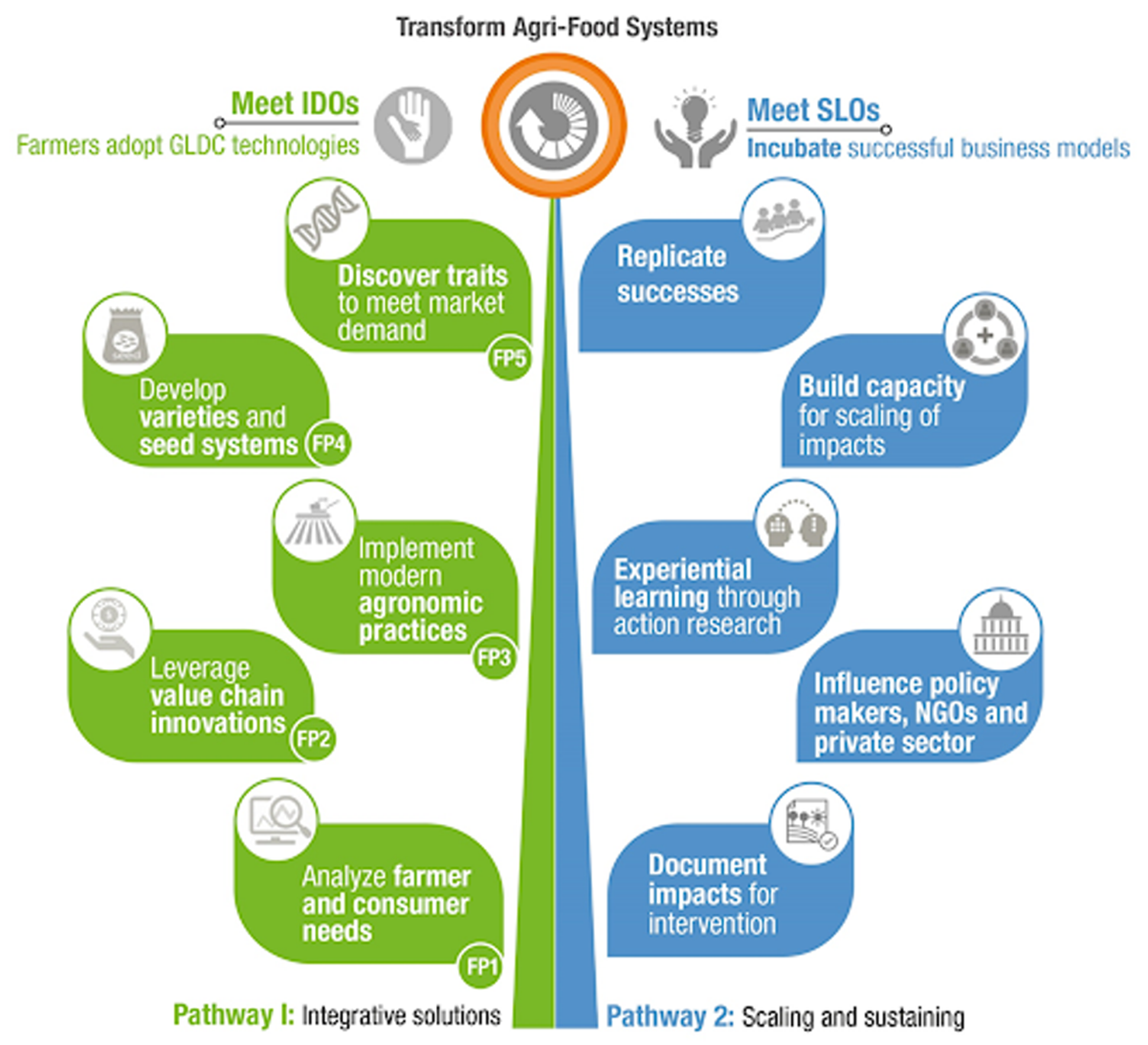 2021:A Year of Effectiveness and Strategic Thinking to Transform Agri ...