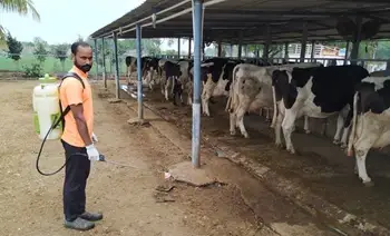 How a proper breeding policy increases income of Dairy Farmers