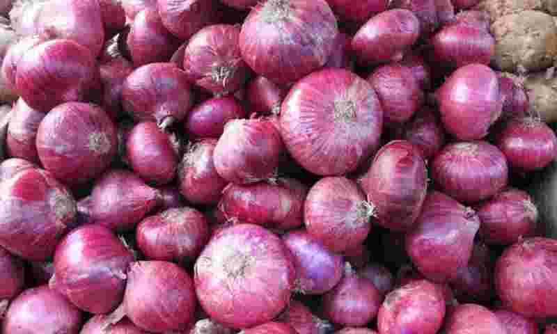 Onion