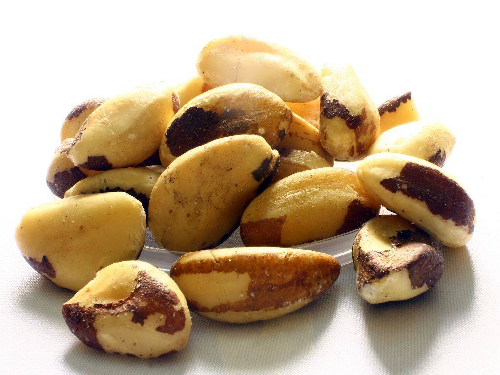 Radioactive Brazil nuts