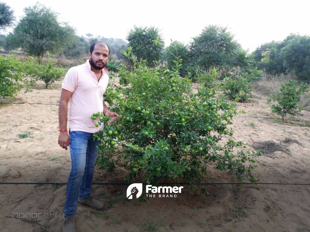 Ashok and fruit orchid - ready to be picked