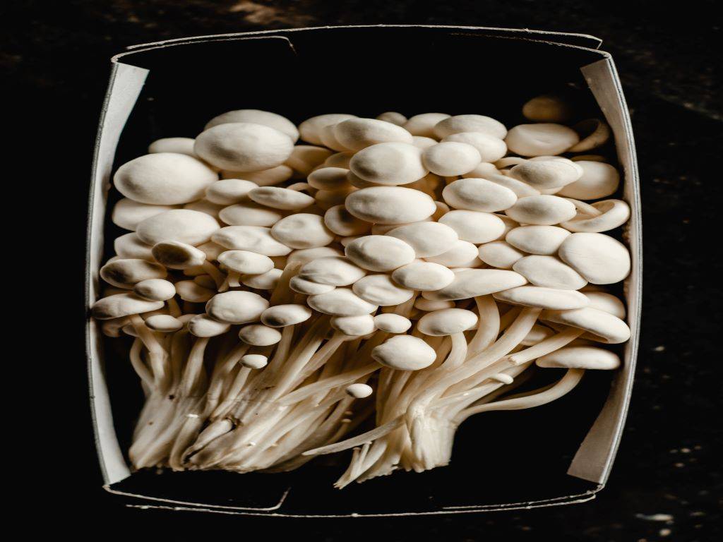 Enoki mushrooms