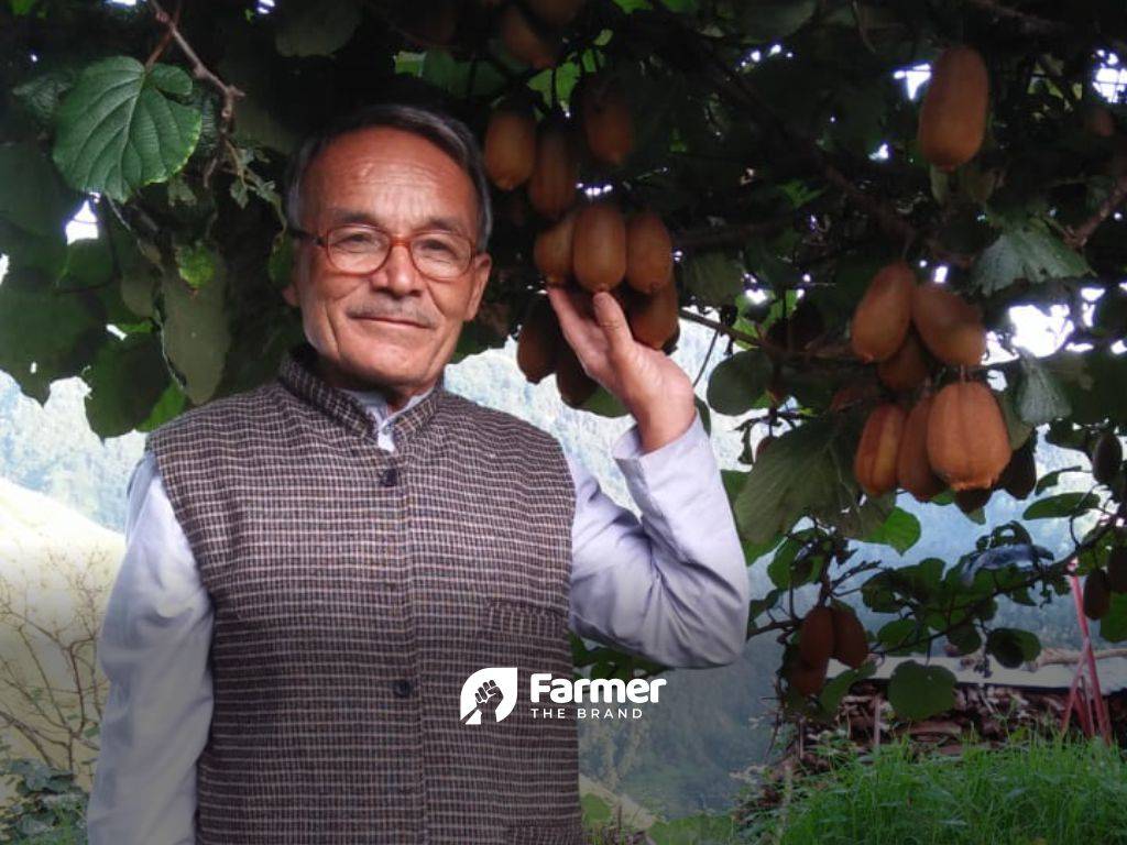 Bhawan Singh with his Kiwi trees