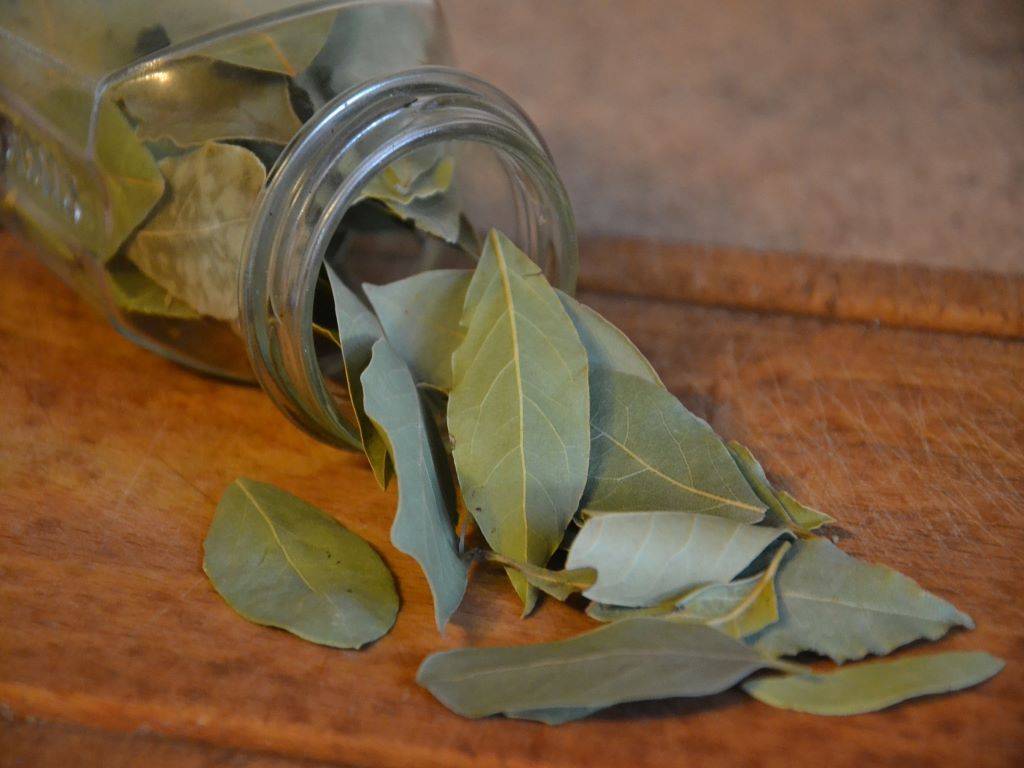 Bay leaves or Tej patta