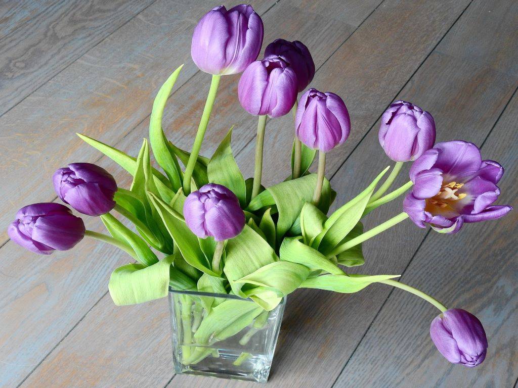 Flowers in a vase