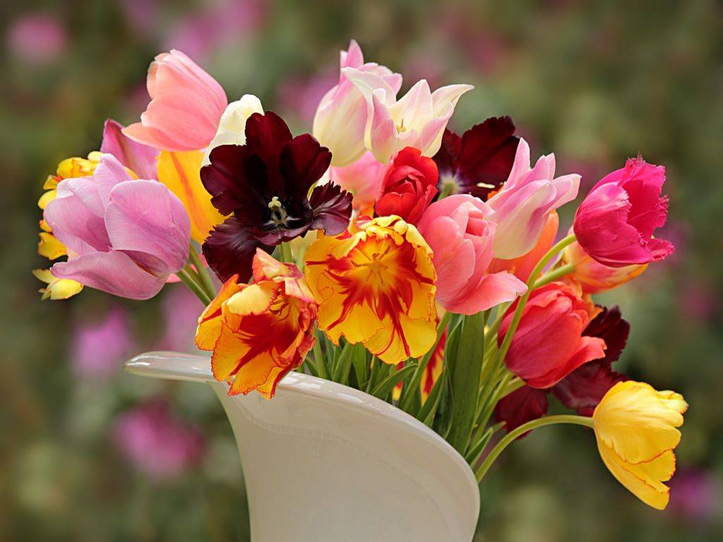 A vibrant vase of flowers