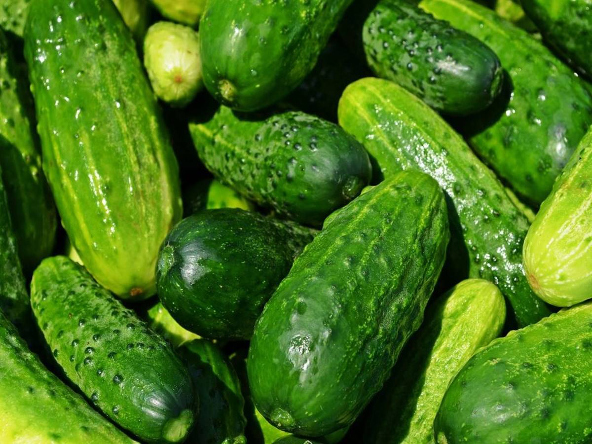Cool cucumbers