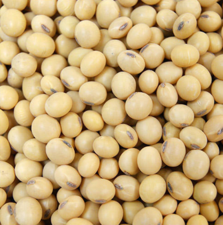 NAFED to Sell Soybean in Maharashtra Next Week