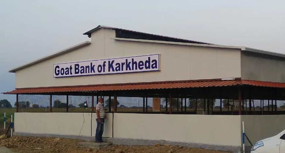 Goat Bank of Karkheda