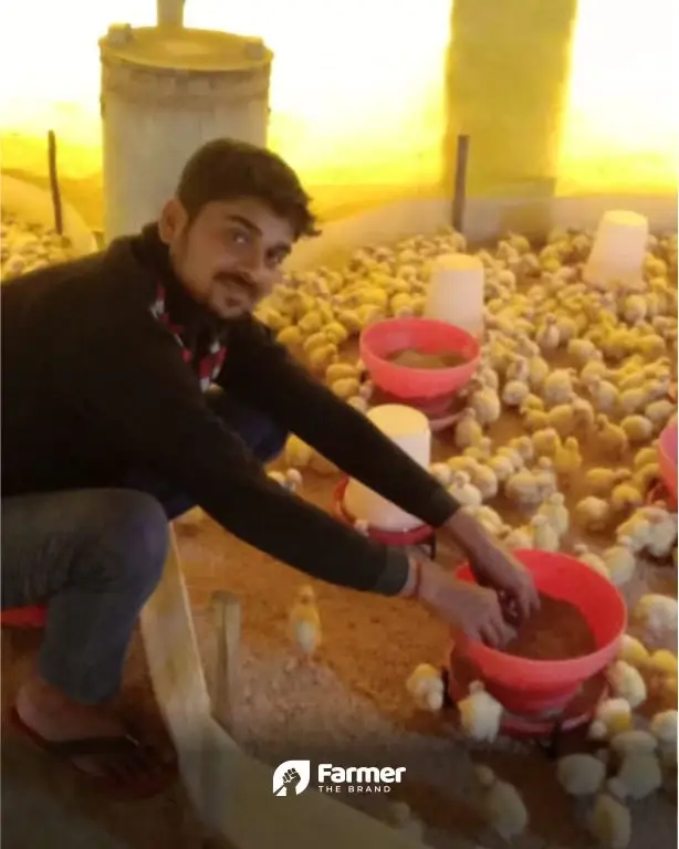 Poultry Farmer Gives Tips on How to Succeed and Make Profit in Poultry Farming