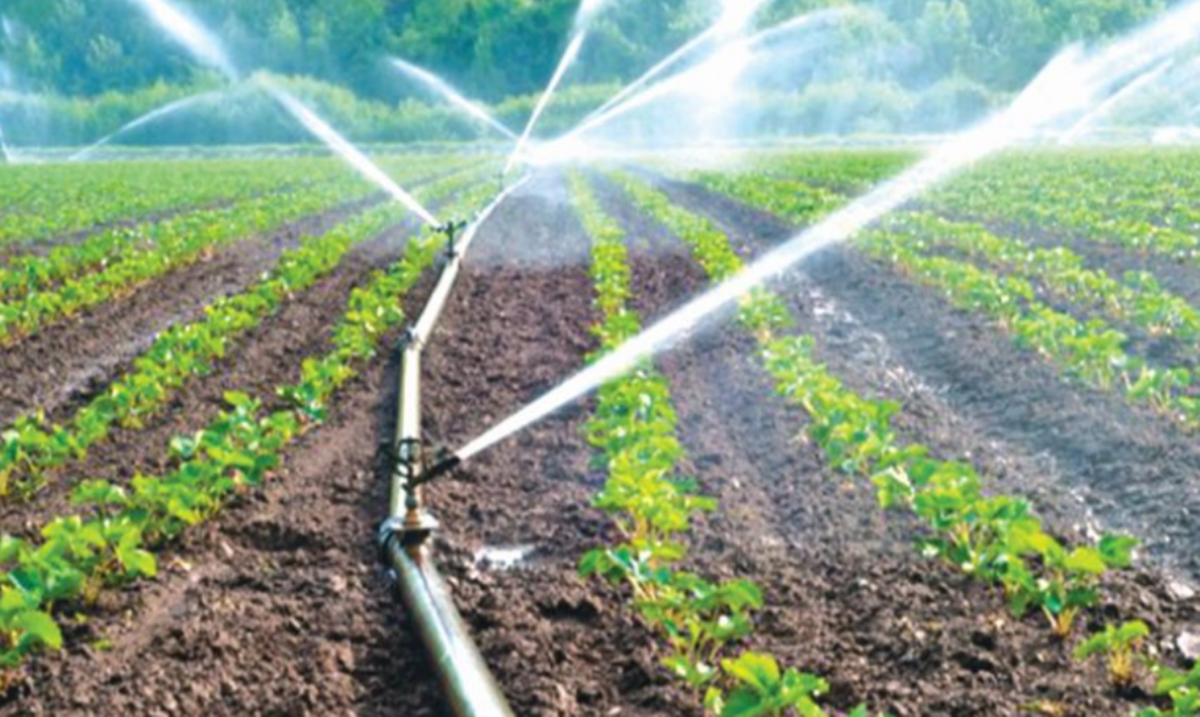 Irrigation Association of India