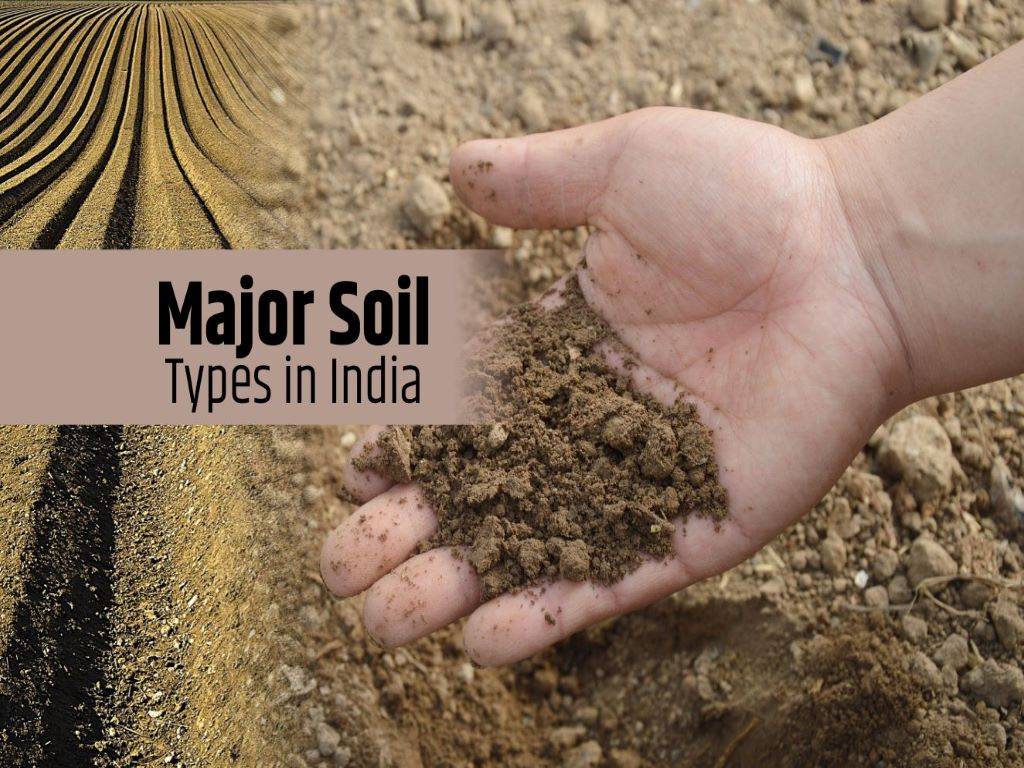 7 Major Soil Types In India Know Which Soil Type Is Perfect For Which Crops