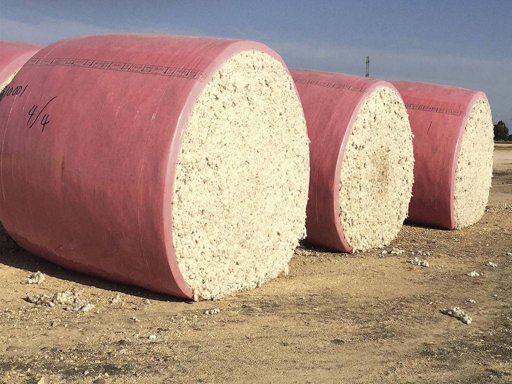 Cotton Bales