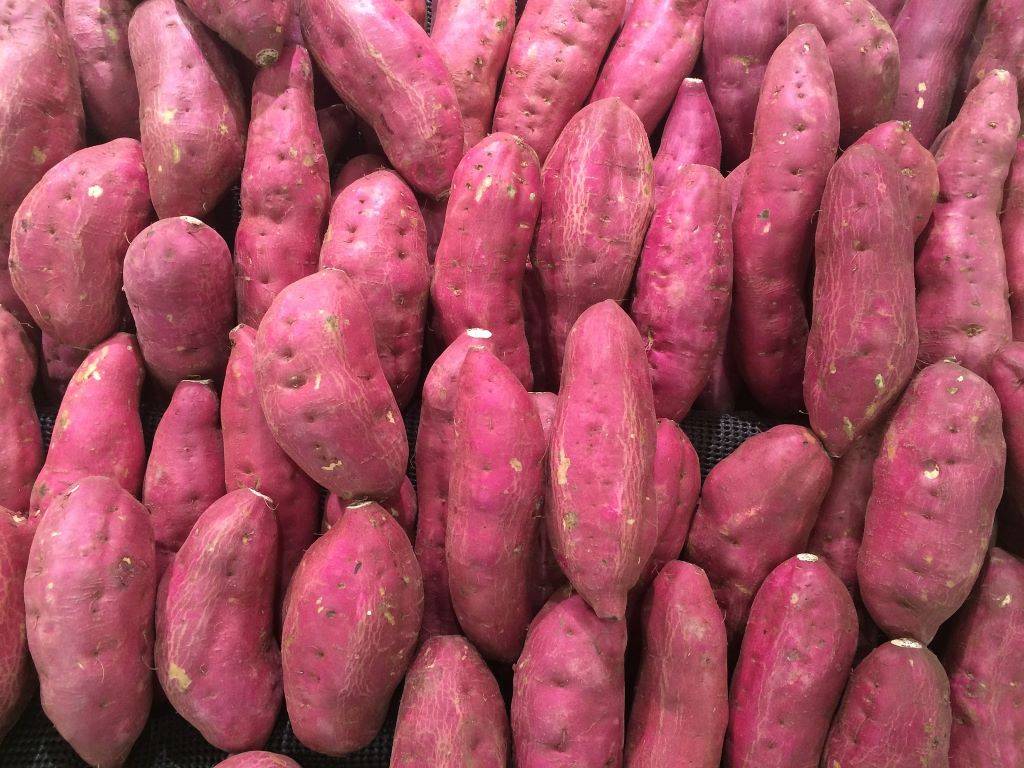 Sweet Potato or shakarkandi