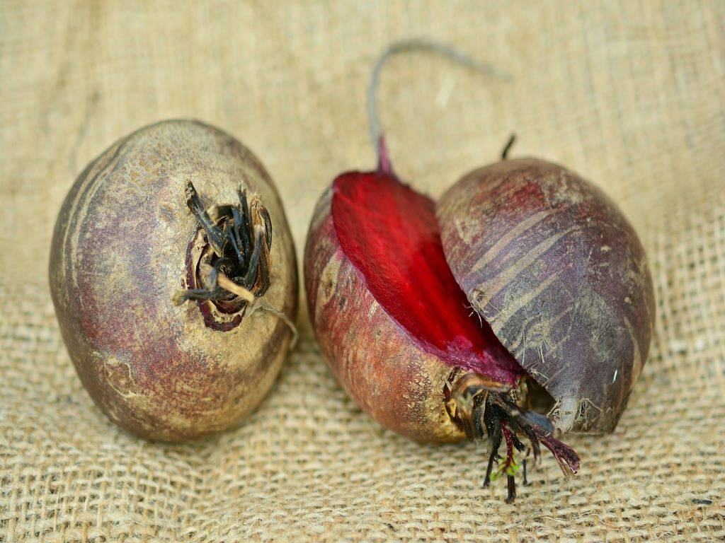 Beetroot or chakundar