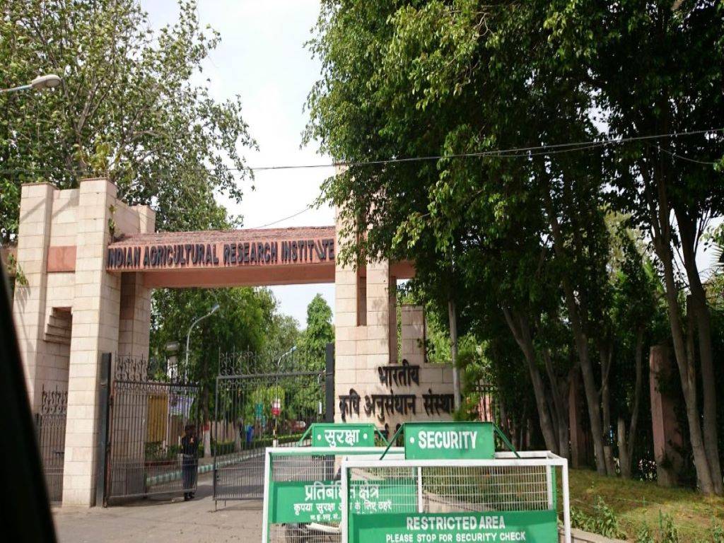 Indian Agricultural Research Institute (IARI)