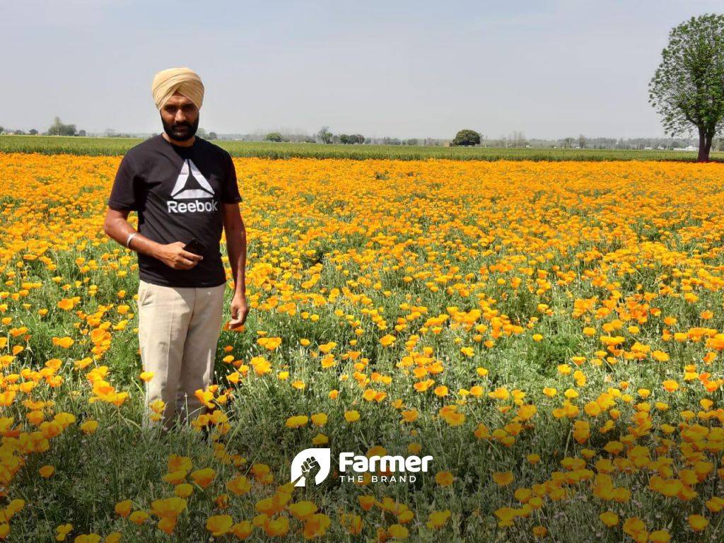 Gurvinder at his flowers farm