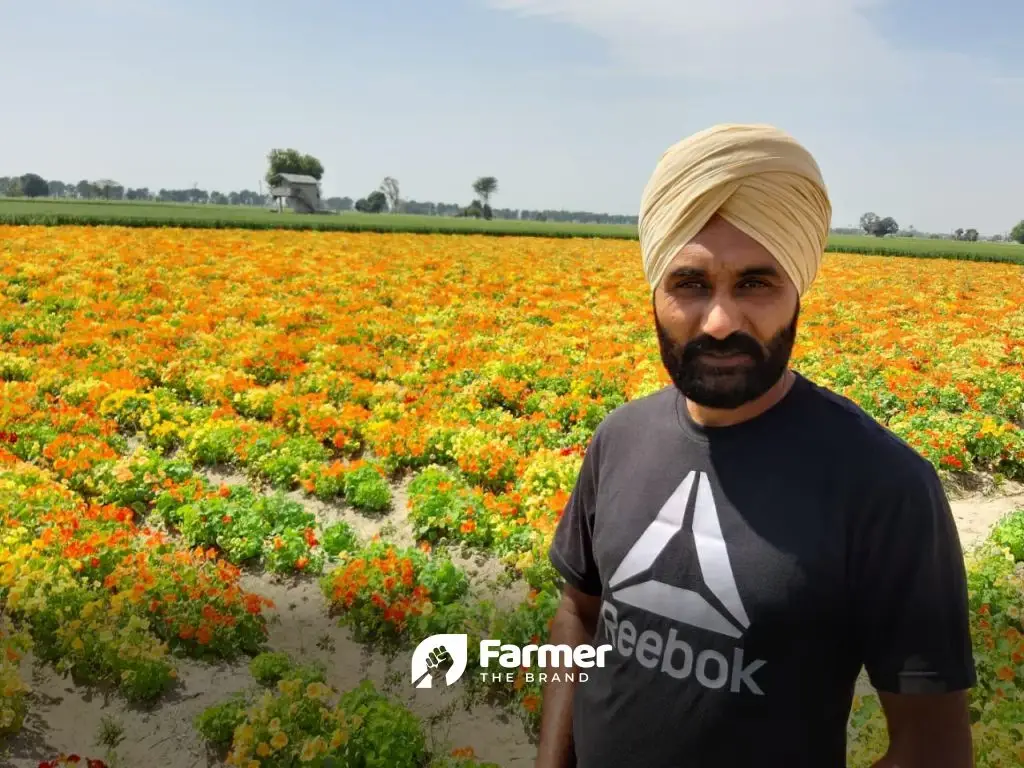 Growing Flowers in Punjab: The Options you have