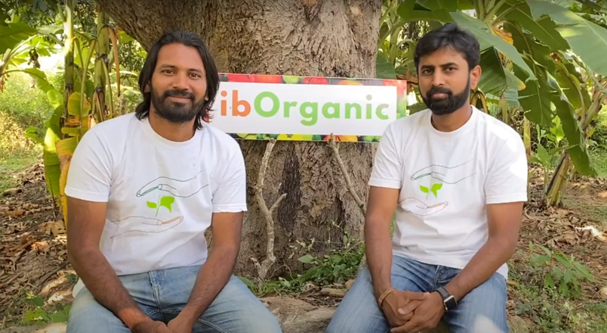 IB organic founders