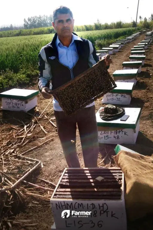 Give more opportunities, says beekeeper from Pathankot