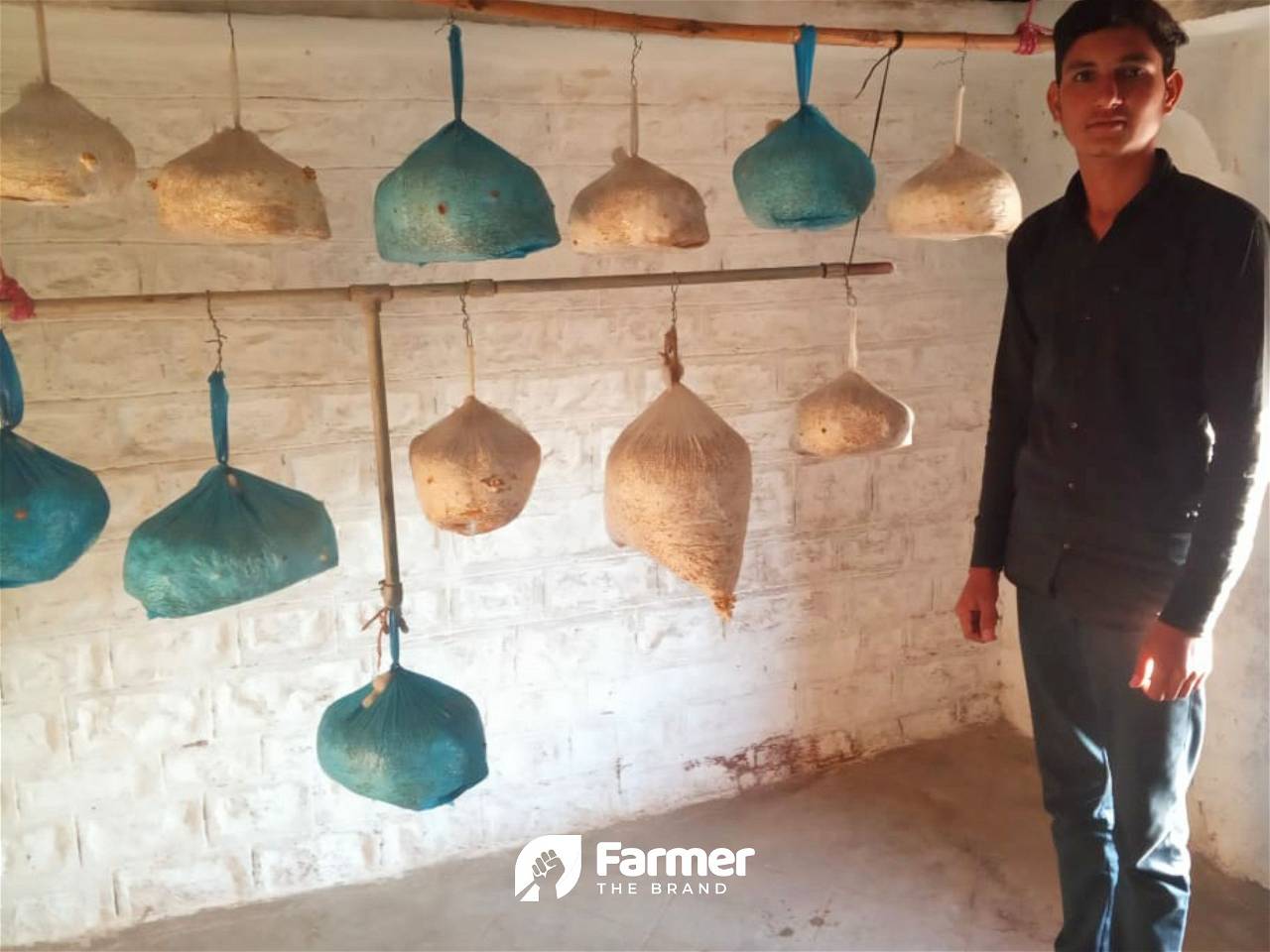 Radheshyam in his mushroom farm